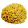 Éponge Naturelle