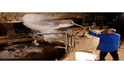 Barre 1.6kg de Savon de Marseille